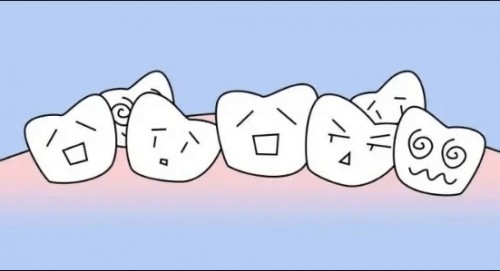 图片5